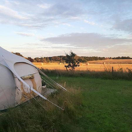 Готель Wild Retreat Cawston Екстер'єр фото